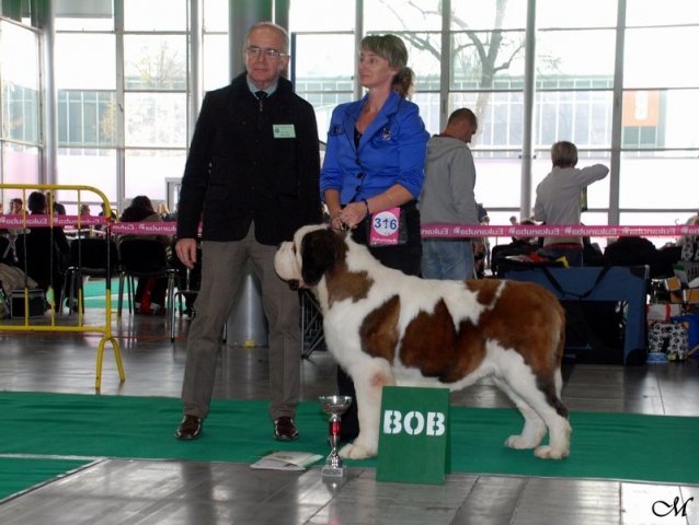 bob