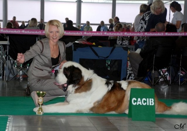 cacib3