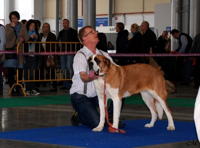 pyr1