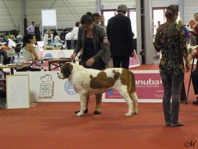 frania1