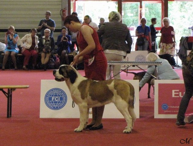 junior4