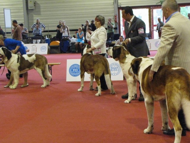 o-grupa