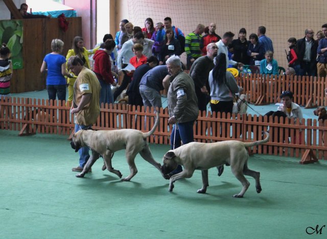 zhod2